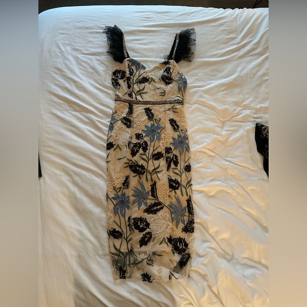 Lulus Sequin dress with tulle sleeves! 👗❤️